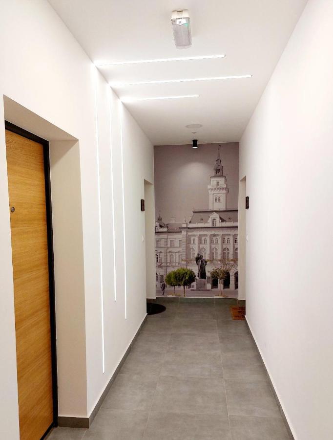 Apartament Kej Danube lux Nowy Sad Zewnętrze zdjęcie